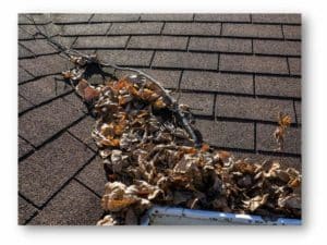 Debris in a roof valley