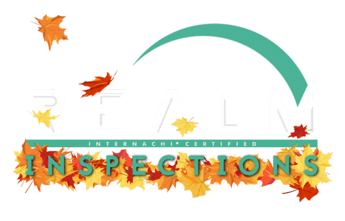 Realm Inspections